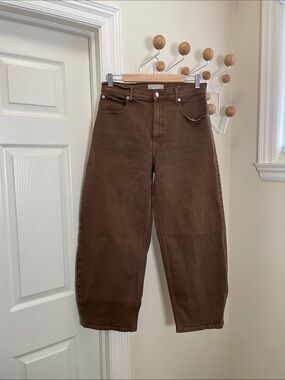 Everlane The Way-High Barrel Jean Brown 30